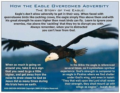 How the  Eagle Overcomes Adversity Prayer Card