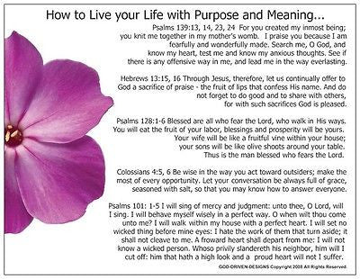 How to Live Your Life with Purpose Prayer Card