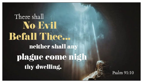 No Evil / No Fear Psalm 91 Seed Card - Light in Darkness