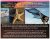 Rest in God's Promises Starfish Beach Prayer Card