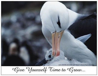 God Driven Designs Give Yourself Time to Grow Note Card Inspiration Bird Image