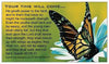 You Were Meant to Fly Butterfly Seed Card