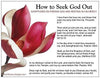 God Driven Designs Inspirational How to Seek God Out Prayer Card