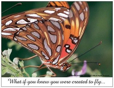 What if You Knew Butterfly Note Card 5/Pack Set