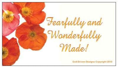 God Driven Designs Fearfully Wonderfully Made Magnet Marketing Package Gift Idea Image
