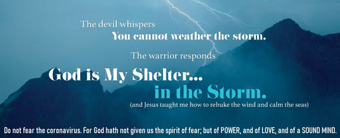 Do Not Fear Coronavirus 2 Timothy 1:7 Banner - Storm