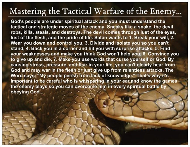 Master the Tactical Warfare Enemy / Snake Card
