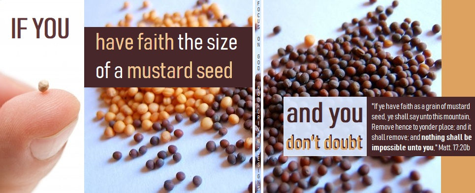 Don't Doubt 2.5' x 6' Conference Banner - Mustard Seed Faith